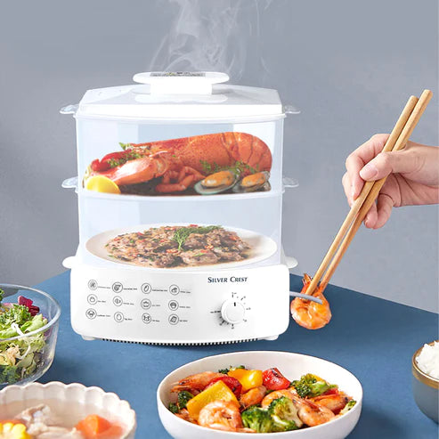 Multi-Function Electric Steamer & Defroster